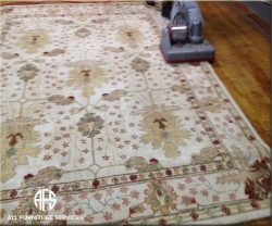 Rug in home cleaning maintenance