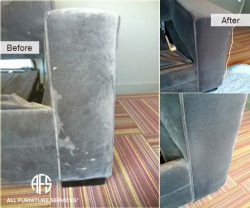 Upholstery-Cleaning-Animal-Stain-removal-Couch